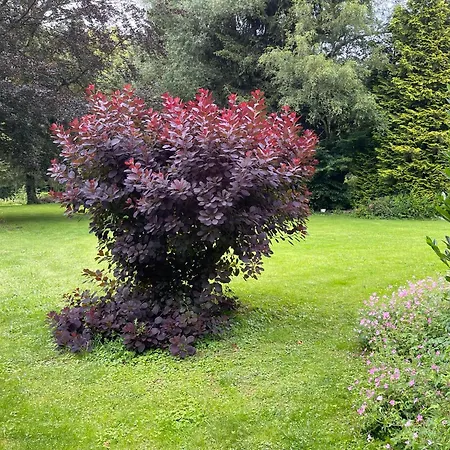 Apartment La Parenthese Nature